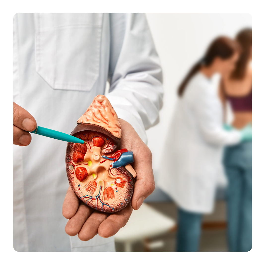 Urology
